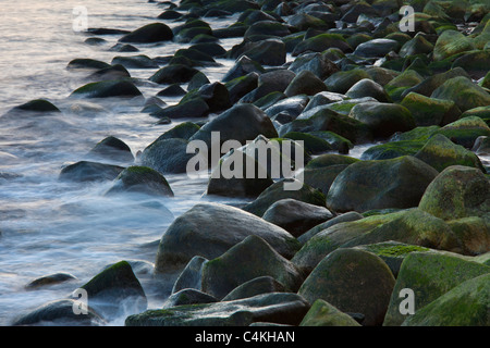 Rocks covered in seaweed on beach in the surf at low tide, Germany Stock Photo