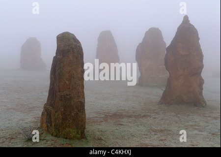 Standing Stones shrouded by fog on Ham Hill near Yeovil, Somerset, UK. Stock Photo