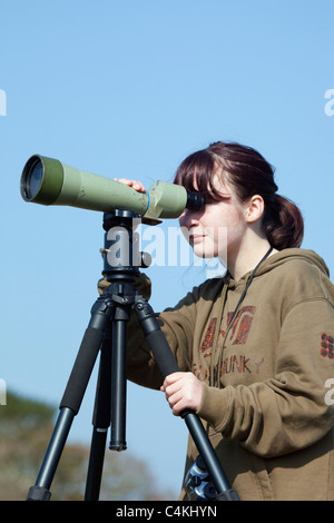 Girl bird watching; Cornwall Stock Photo