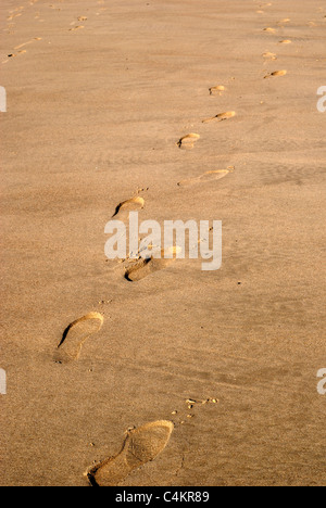 Man's footprints in sand while walking on the beach Stock Photo - Alamy