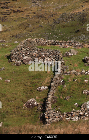 Stone Walls in Landscape Ireland Stock Photo