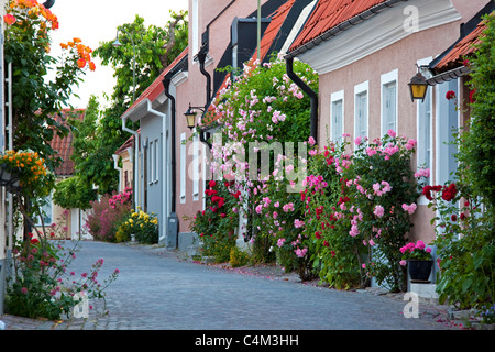 Traditional houses decorated with flowers in cobbled street of the Hanseatic town Visby, Gotland, Sweden Stock Photo