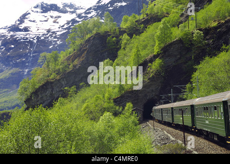 View of Flamsbana Train entering tunnel at the famous Flam railway , Sognefjord, Aurlandsfjord Norway . Stock Photo