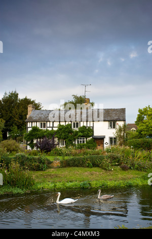 Quaint Tudor style cottage with swan and cygnet on River Arrow at Eardisland, Herefordshire, UK Stock Photo