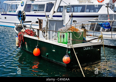 A small black-hulled fishing boat moored alongside large gleaming white pleasure craft in the blue water of the harbour, Toulon Stock Photo