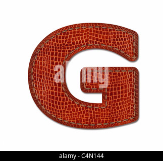 Crocodile leather font - on white background Stock Photo