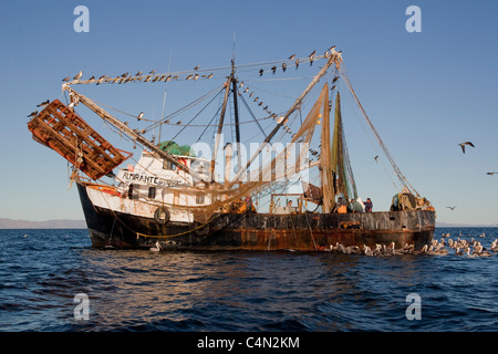 A Mexican shrimp trawler fishing in Kino Bay, Mexico. Stock Photo