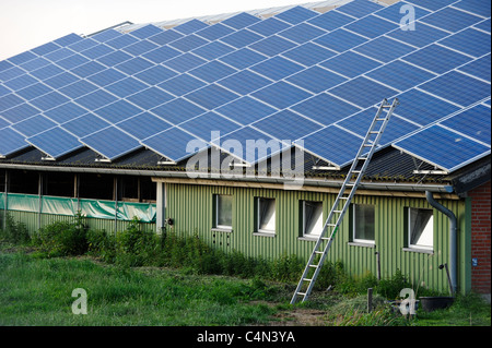 Germany , North sea island Pellworm , solar panel on stable roof at milk cattle farm Stock Photo
