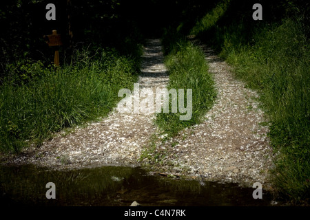 White black poplar seeds, looking like snow, cover a track in the French Way  of St James Way, El Bierzo, Castilla y Leon, Spain Stock Photo