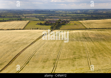 Barley Fields from Ivinghoe Beacon Chiltern Hills Bucks Stock Photo