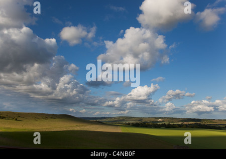 The Chalk Lion at Whipsnade from Ivinghoe hills Chilterns Buckinghamshire Stock Photo