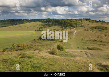 The Ridgeway Long distance path at Ivinghoe Beacon in the Chiltern Hills Buckinghamshire Stock Photo