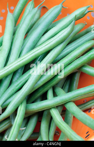 Green Beans in Colander Stock Photo