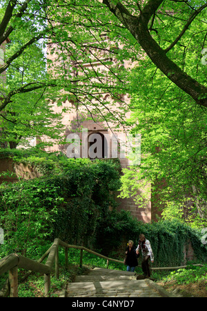 The walk to the gardens below the main gateway to Heidelberg Castle, Germany Stock Photo