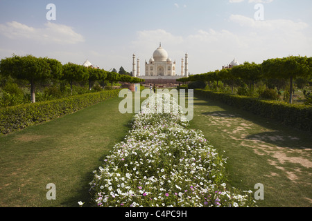 View of Taj Mahal from Mehtab Bagh, Agra, Uttar Pradesh, India Stock Photo