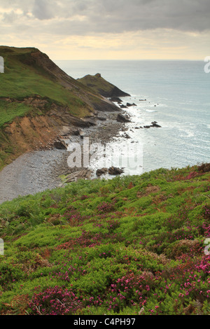 Millook Haven viewed from coastal path, North Cornwall, England, UK Stock Photo