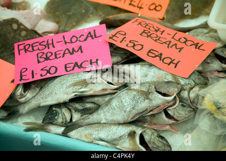 Fishmonger display of varieties of fish on ice table Stock Photo