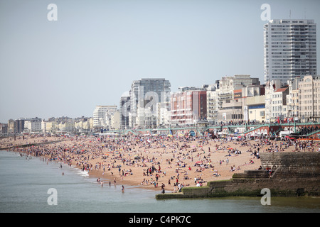 Busy Brighton beach on a hot summers day.  Picture by James Boardman. Stock Photo