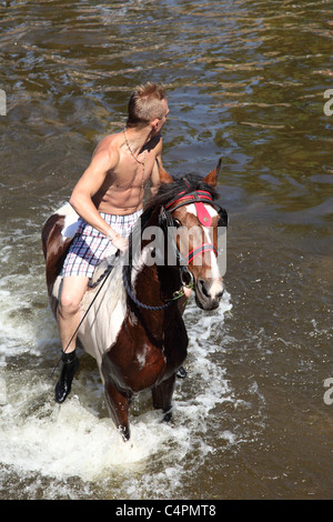 A gypsy boy swimming a horse at the Appleby Horse Fair, Appleby-In-Westmorland, Cumbria, England, U.K. Stock Photo