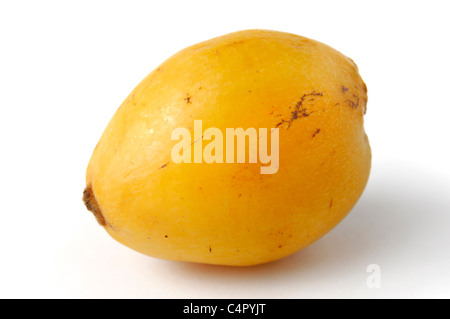 Yellow loquat fruit - Eriobotrya japonica - Isolated on white background Stock Photo