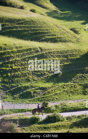 Chalk downs at Heddington, Wiltshire, England, United Kingdom, Great Britain, UK ,GB Stock Photo