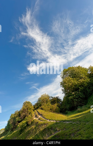 Chalk downs at Heddington, Wiltshire, England, United Kingdom, Great Britain, UK ,GB Stock Photo