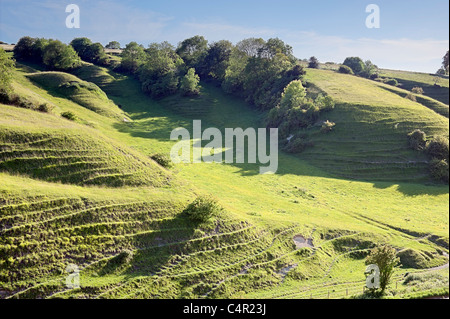 Chalk downs at Heddington, Wiltshire, England, United Kingdom, Great Britain, UK ,GB Stock Photo