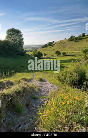 Chalk downs at Heddington, Wiltshire, England, United Kingdom, Great Britain, UK,GB Stock Photo