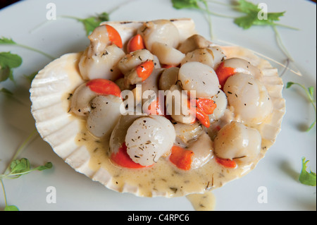 Queen scallops in sauce Stock Photo