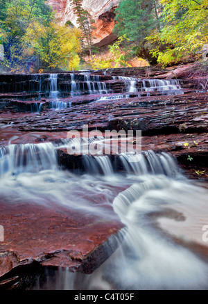 Archangel falls and fall color. Left Fork of North Creek. Zion National Park, Utah. Stock Photo