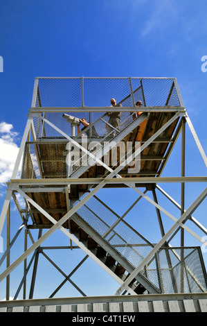Birdwatchers using a telescope atop the tower at the Edwin B. Forsythe National Wildlife Refuge, New Jersey Stock Photo