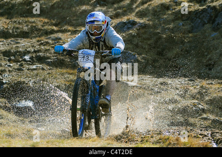 Red Bull sponsored professional trials bike rider Danny MacAskill races his mountain bike at a downhill event in Scotland Stock Photo