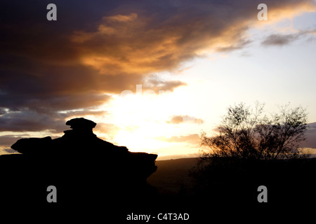 Brimham Rocks at sunset, Nidderdale, National Trust site, North Yorkshire, England, October Stock Photo