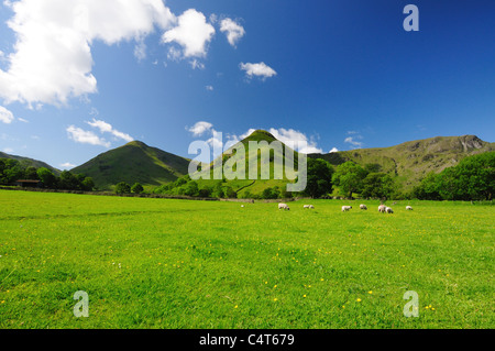 Summer view of fells fields and countryside in the English Lake District Stock Photo