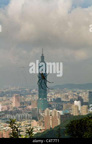 A spider 'climbing' on Taipei 101. Stock Photo