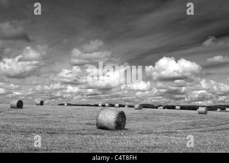 Harvest Time on the Cranborne Chase, Dorset Stock Photo