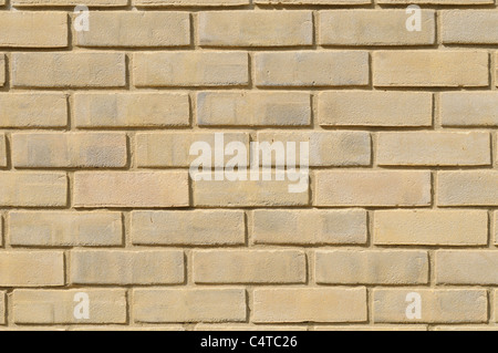 A brick wall made of light-coloured/colored bricks. Stock Photo