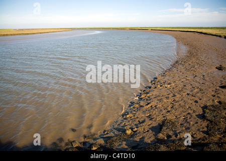 Butley River creek with muddy river bed, Boyton, Suffolk, England Stock Photo