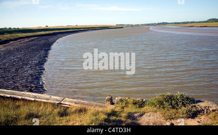 Butley River creek with muddy river bed, Boyton, Suffolk, England Stock Photo