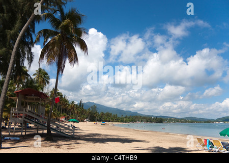 The beautiful coconut palm lined Luquillo Beach located on the large island of Puerto Rico. Stock Photo