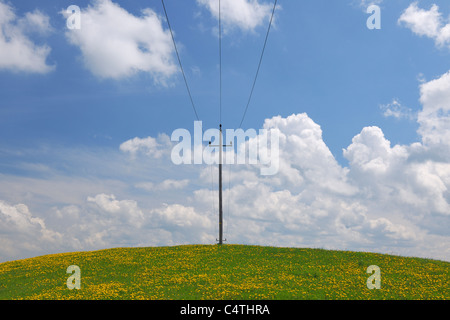 Utility Pole in Meadow, Sonntagberg, Mostviertel, Lower Austria, Austria Stock Photo