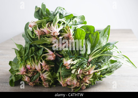 Bunches of fresh spinach