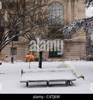 American flamingo and greater rhea standing in snowy urban scene Stock Photo