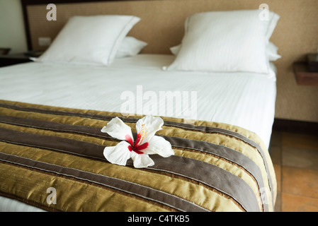 White hibiscus flower head on neatly made bed in hotel room Stock Photo
