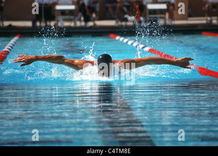 young man swimming competition butterfly stroke Stock Photo