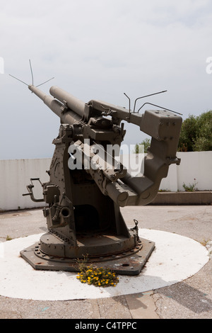 Next to the 100 ton Gun at Napier of Magdala Battery, Gibraltar this is a side defense installed int he Second World War Stock Photo