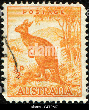 AUSTRALIA - CIRCA 1937: A stamp printed in Australia shows Kangroo, series, circa 1937 Stock Photo