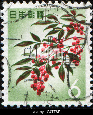 JAPAN - CIRCA 1960s: A stamp printed in Japan shows Japanese rowans or mountain-ashes - Sorbus commixta, circa 1960s Stock Photo