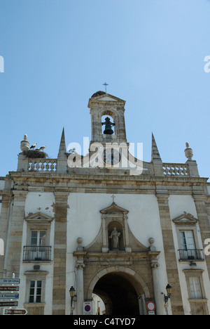 White storks nesting on a historic building in the town of Faro, Portugal Stock Photo