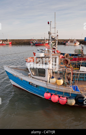 Bridlington harbour in evening sun (boats or vessels moored by fishing quay, pier, buoys, calm sea) - scenic North Yorkshire Coast town, England, UK. Stock Photo